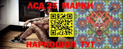 шишки Новозыбков