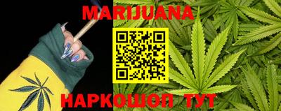 шишки Новозыбков