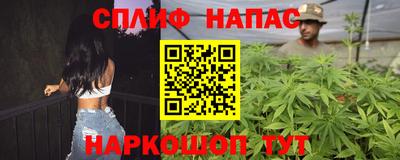 шишки Новозыбков