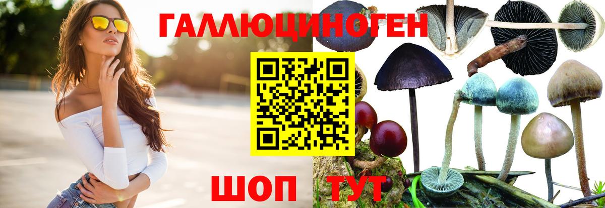 Псилоцибиновые грибы мухоморы Симферополь